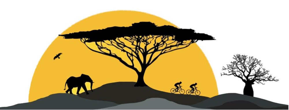 Thorn Tree Safaris